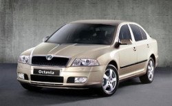 Зимняя акция от Skoda