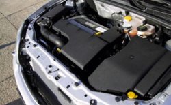 ВАЗ и ГАЗ купят бразильский завод моторов