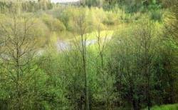 Въезжать в лес на авто запретят