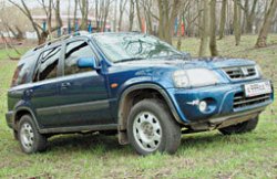  Пляжный преферанс