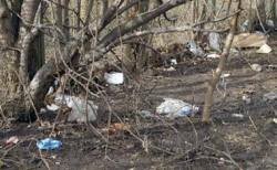 Мусорящих водителей задержали под Москвой