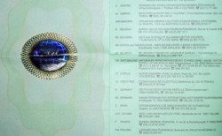 Российские страховщики будут выдавать «Зеленую карту»