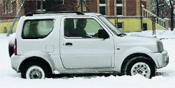 Снежный барсик
