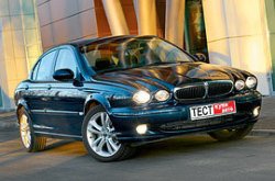 Дикая кошка по цене домашней