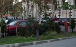 В столице создадут единое парковочное пространство