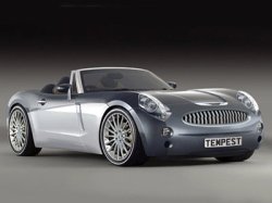 Забытую автомобильную марку Austin Healey возродят китайцы