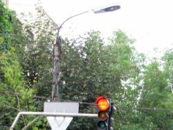Дороги Подмосковья осветят