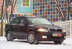 В поисках второго Я
