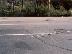 Автомобили в Москве перестанут шуметь