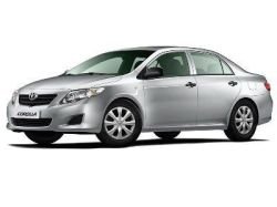 Toyota будет собирать в Питере новые модели