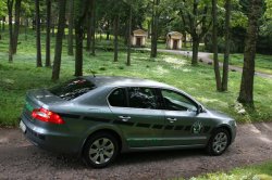 Skoda Superb: чтобы нравиться