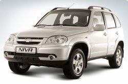 Питер-Лада: Акция «Эверест» набирает обороты