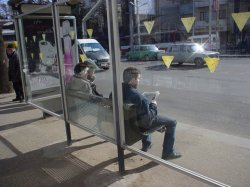 За парковку на остановках общественного транспорта увеличат штрафы
