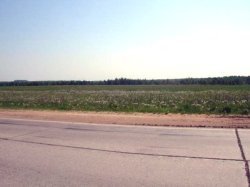Российские дороги начнут ремортировать осенью