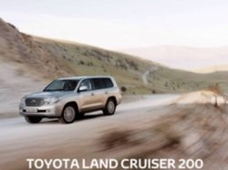 Что общего между уссурийскими тиграми и Toyota LC200? И тех и других мало «в наличии»