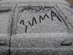 ГИБДД просит водителей подготовиться к зиме