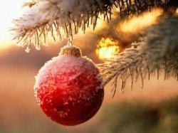 С Новым 2011 годом!