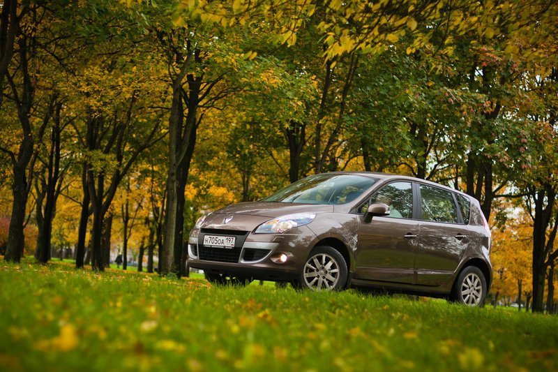 Французский флегматик