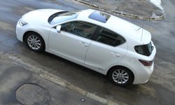 Профессор Парадокс