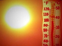 ГИБДД РФ призывает водителей быть аккуратнее на дороге в жаркую погоду