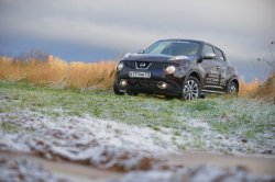 Джук в муравейнике