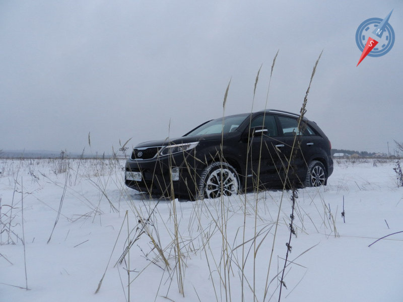 Слегка «заваленная» линия крыши создает образ динамичного автомобиля