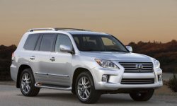 Большой обжора