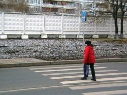 В РФ выросло число наездов пьяных водителей на людей на пешеходных переходах