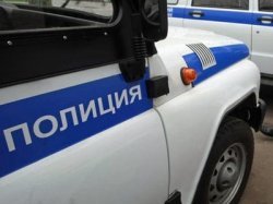 Отечественный автопром разработает специальные автомобили для полиции
