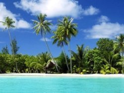 Поймай удачу за хвост!