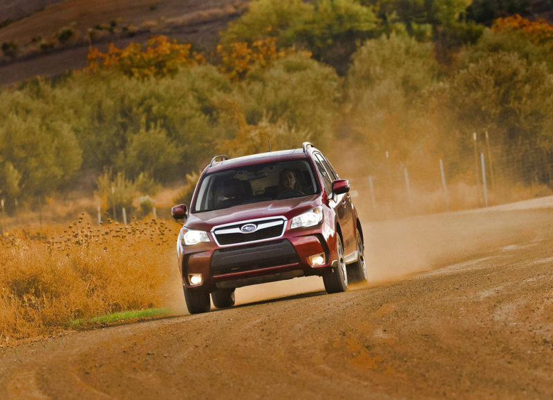 Приподнятая над дорогой посадка не мешает «леснику» в быстрых виражах