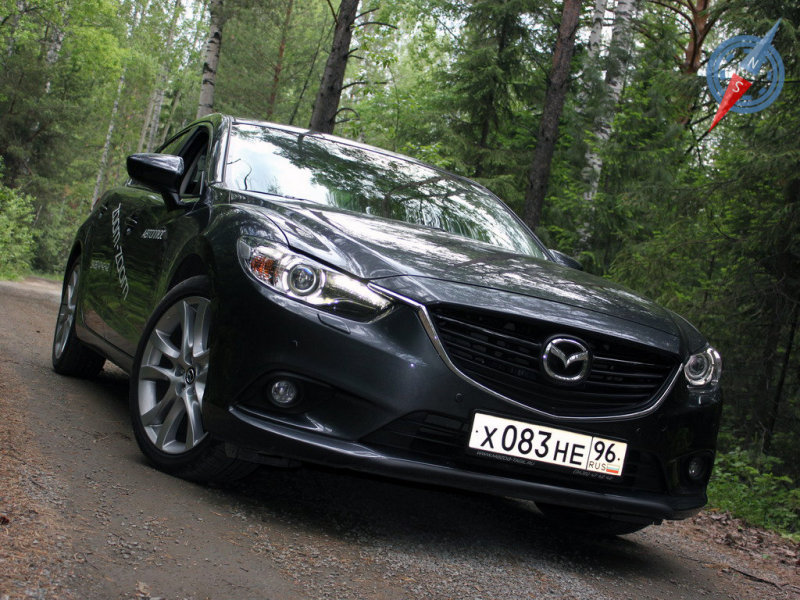 В природной стихии хищник смотрится куда эффектнее...