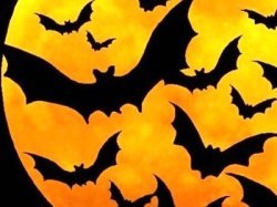 Хэллоуин в «Независимость Peugeot» – тьма выгодных предложений!