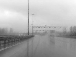 Столичная ГИБДД призывает водителей быть внимательнее на дороге