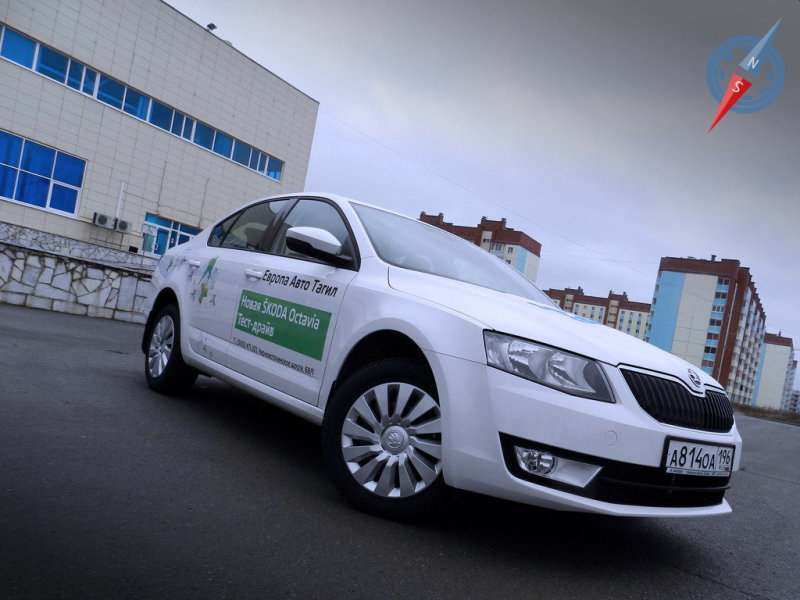 Основная среда обитания – городская местность, в том числе и заводи супермаркетов