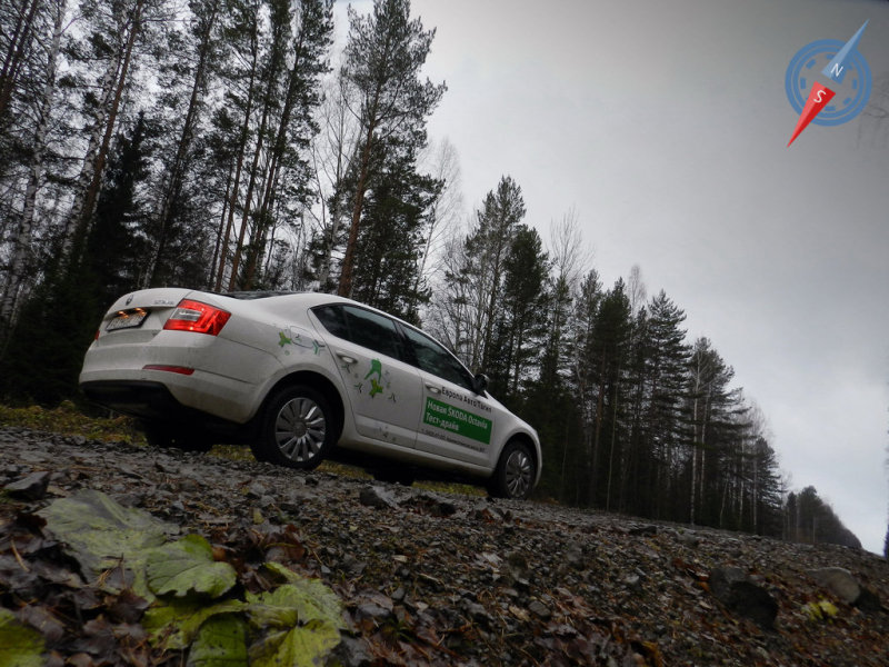 Мелкие неровности Octavia практически игнорирует,...