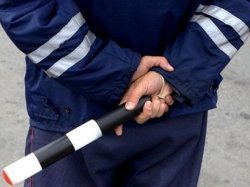 Госавтоинспекция РФ призывает водителей быть осторожными на дороге