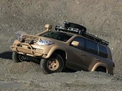 Одним автопроизводителем в РФ стало больше
