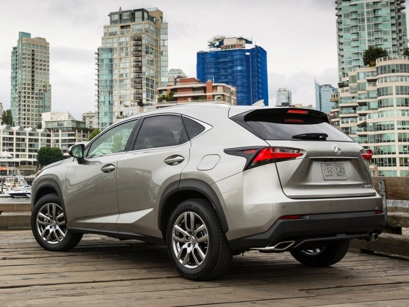 Корма выглядит стильно