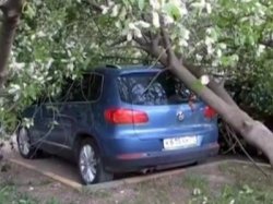МЧС предупреждает московских автомобилистов о плохой погоде