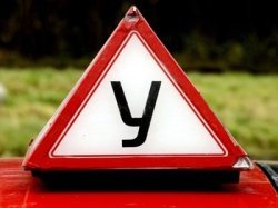 Столичная ГИБДД возьмет под контроль автошколы
