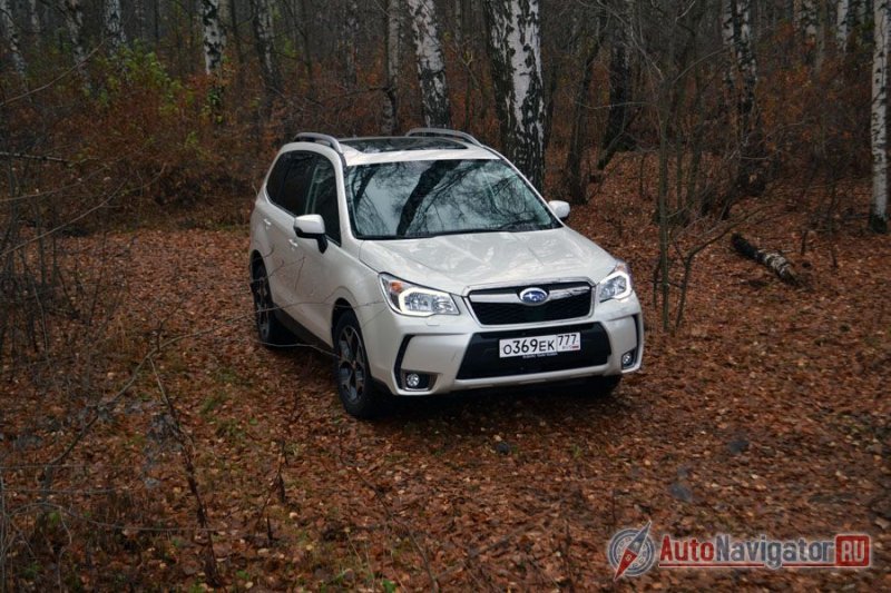 «Forester» в переводе означает «лесник», так что на лесных тропках он в своей стихии. Если у вас есть загородный дом посереди леса, и вы не любите выделяться – Forester то, что нужно