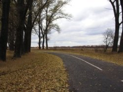 Более 520 км новых дорог построят в «новой Москве»
