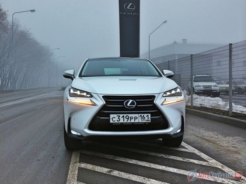 Официальные российские дилеры Lexus предлагают покупателям несколько версий NX