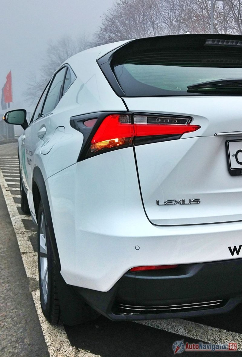 Большие светоблоки имеют необычную форму