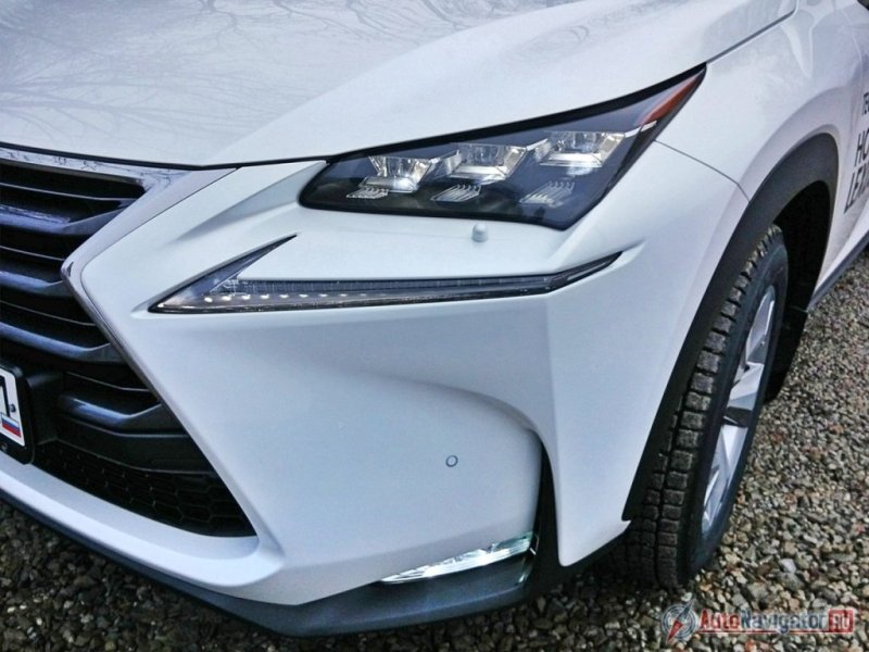 У Lexus NX хищный «взгляд» 