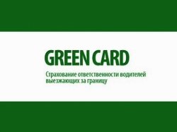 РСА обнародовал новые тарифы на «Зеленую карту»