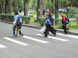 Столичная ГИБДД просит взрослых позаботиться о безопасности детей