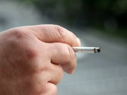 Депутат Госдумы не поддержал закон о запрете курения за рулем