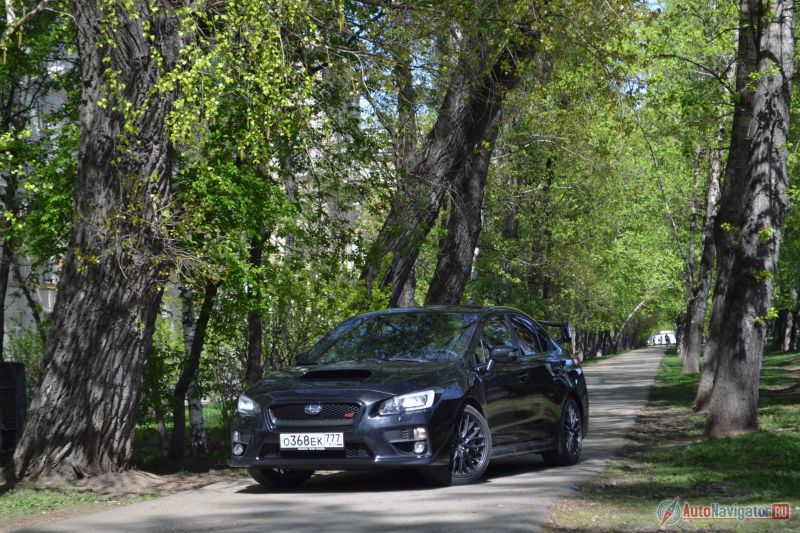 Выразительной внешность может назвать разве что дождевой червь